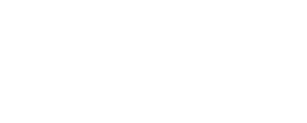 Logo EquiX Blanco
